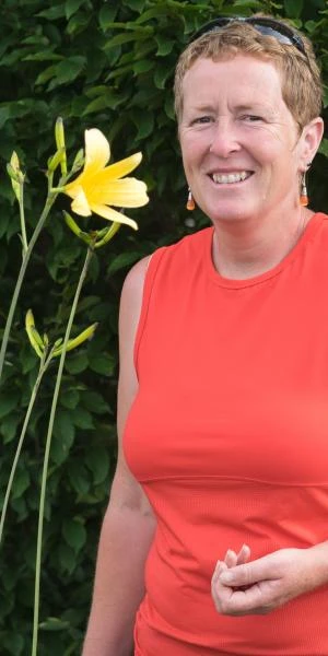 HEMEROCALLIS 'High Tor' 2 HEMEROCALLIS 'High Tor' - Image 2