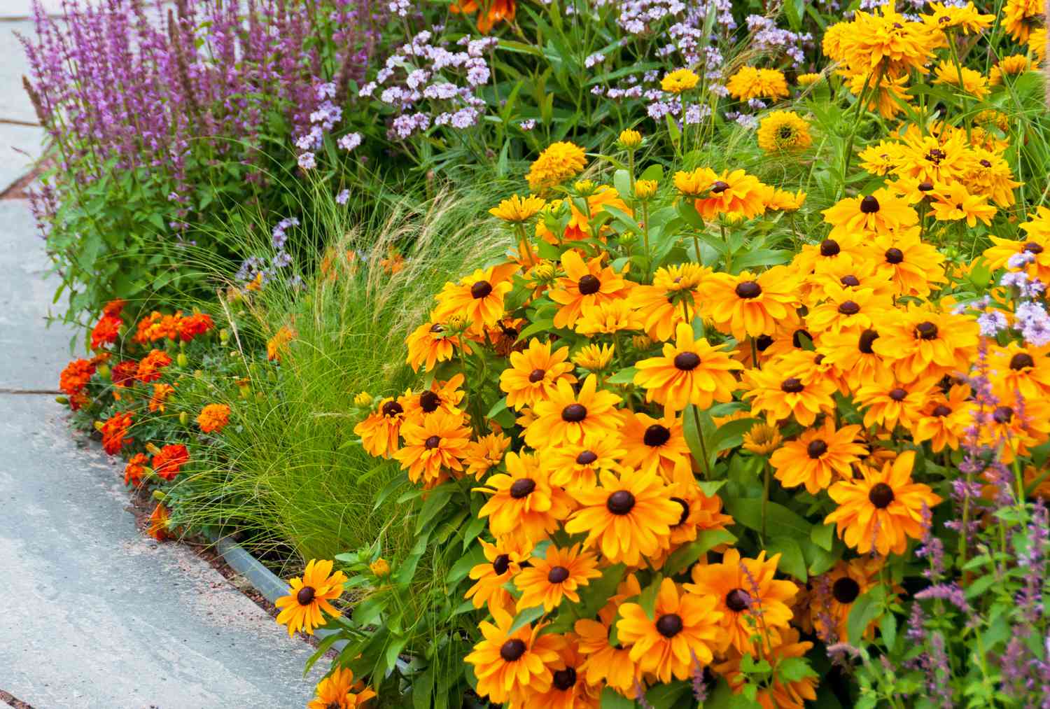 Outlet Botanic Yard Store -Outlet Botanic Yard Store ms border garden getty 9a9e8e6216714e4f974004a77eadf2a1